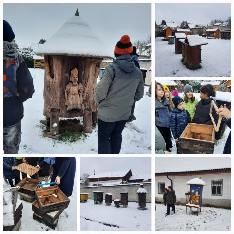 beekeeping open-air museum 1
